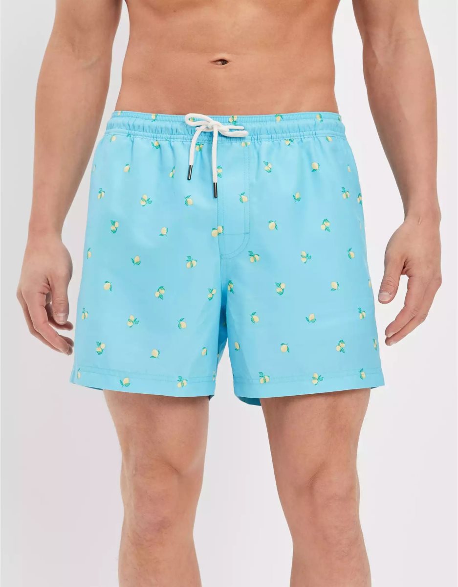 Shorts American Eagle AE 5.5